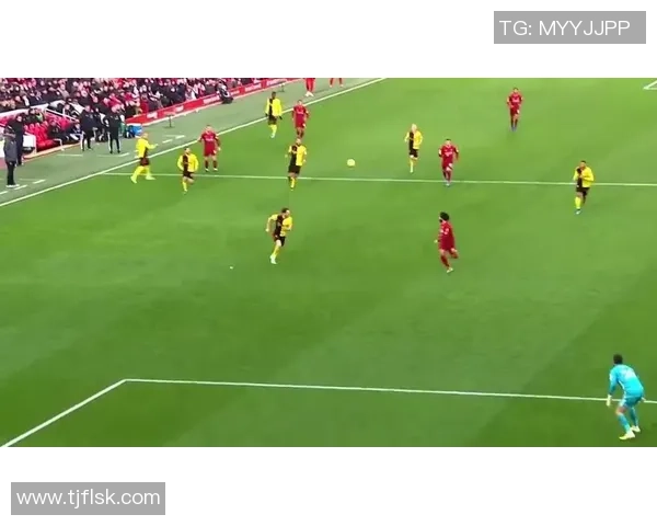 足球球星专属装备包揭秘：技术、舒适与个性化的完美结合