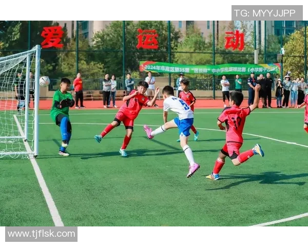 围绕世界顶级足球巨星展现绿茵赛场激情与辉煌瞬间