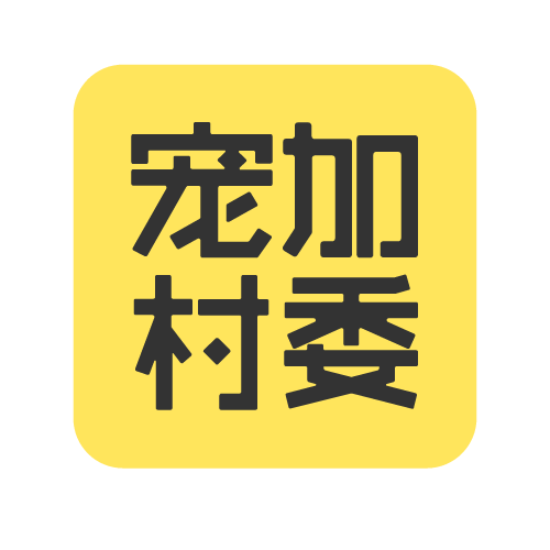 潘婷